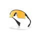 Oakley Gold UV Protection Rectangular Unisex Sunglasses