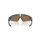Oakley Gold Polarized Rectangular Unisex Sunglasses
